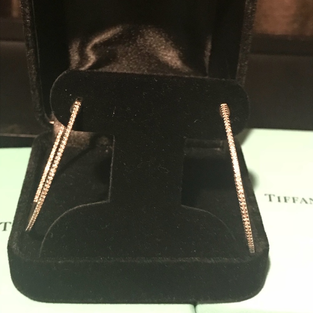 🚫SOLD🚫 Inside Out Diamond Pave Hoops Earrings